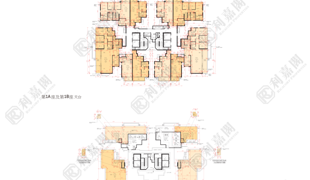 77448_2000_Ricacorp-1.png