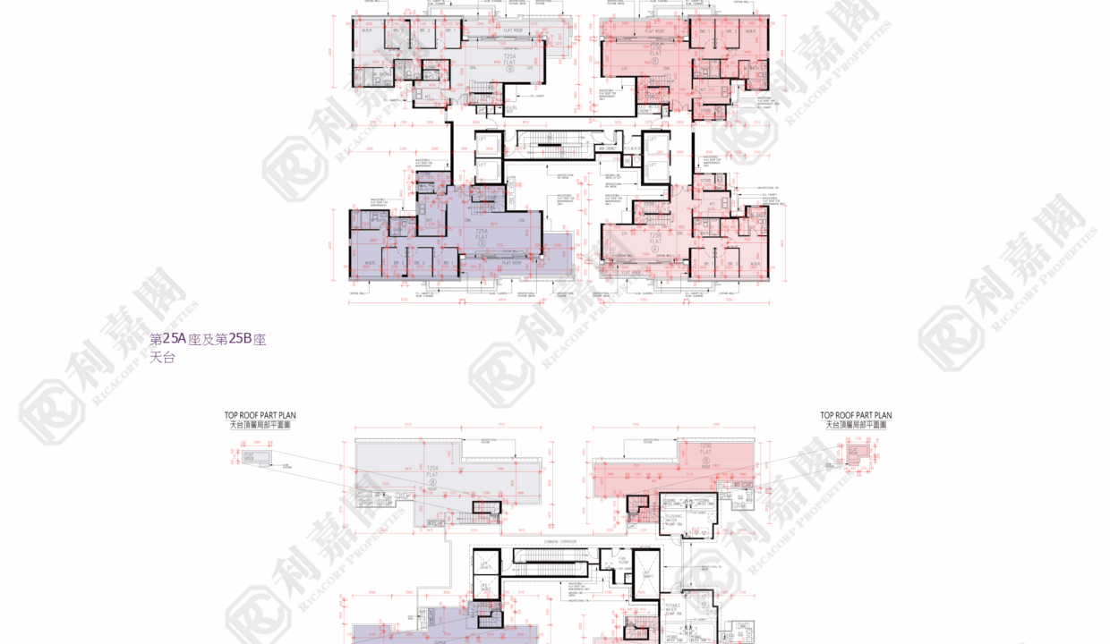 77457_2000_Ricacorp.png