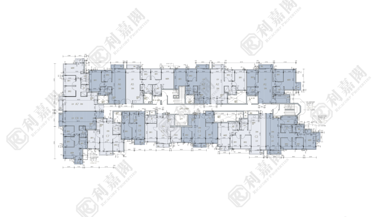 78022_2000_Ricacorp-1.png