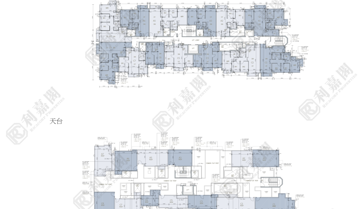 78024_2000_Ricacorp-1.png