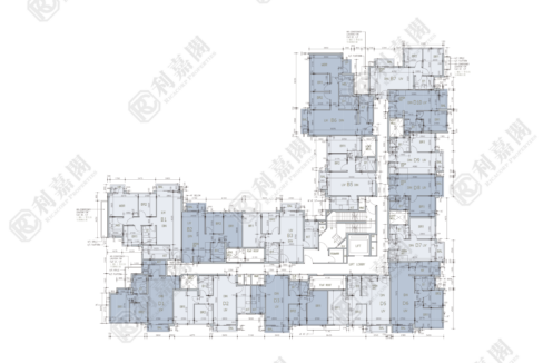 78025_2000_Ricacorp-2.png
