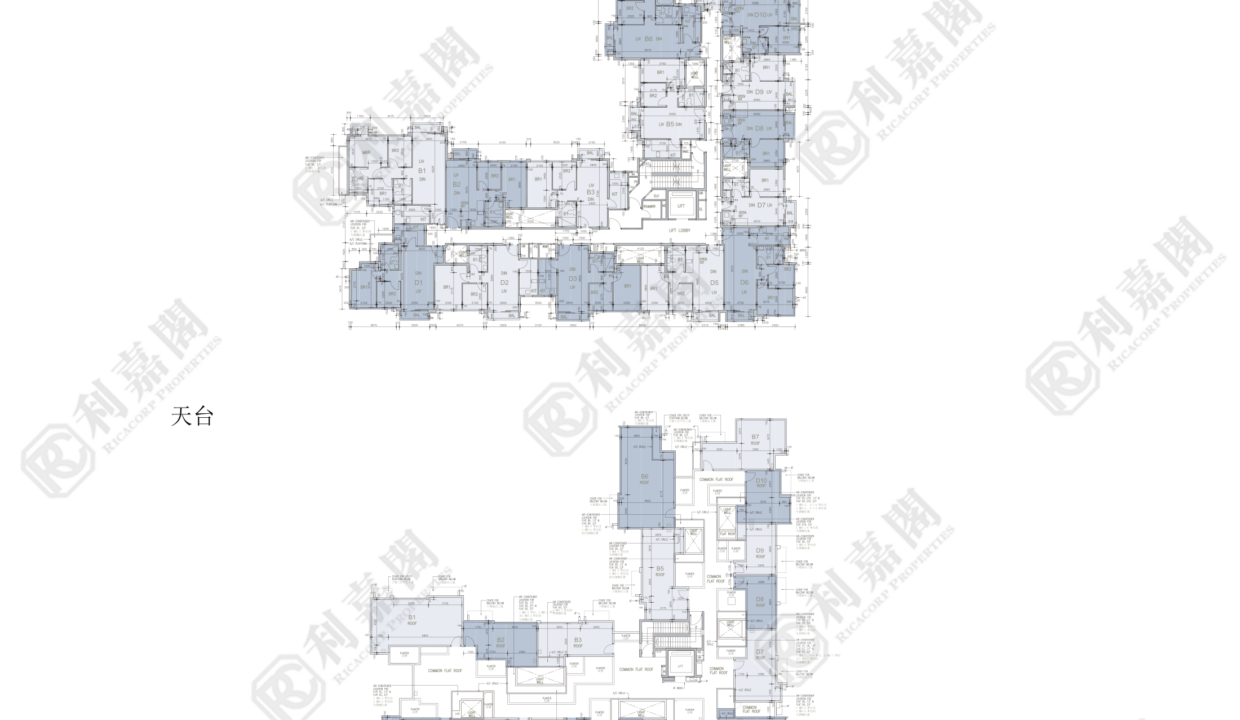 78027_2000_Ricacorp.png
