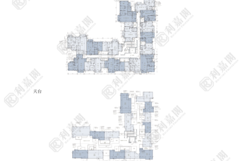 78027_2000_Ricacorp.png