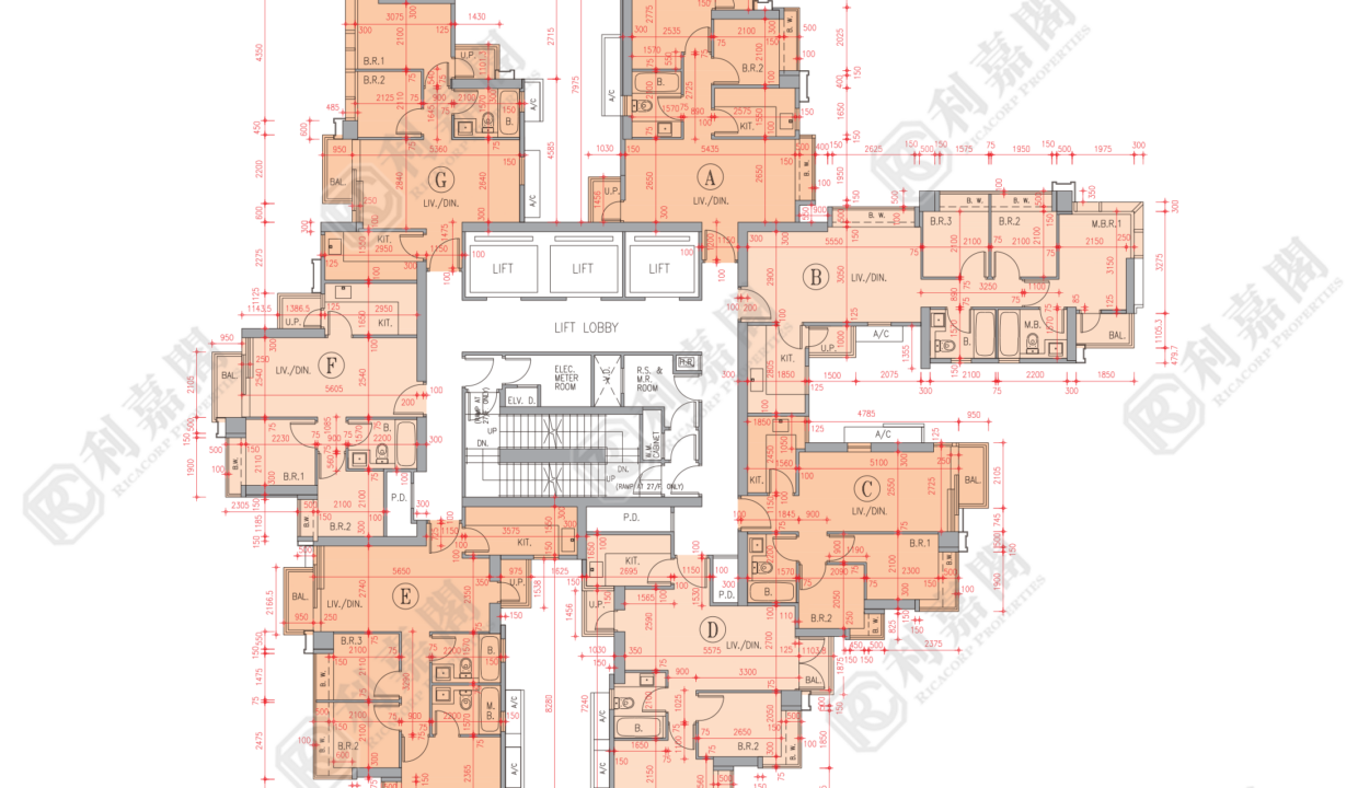 78073_2000_Ricacorp-1.png