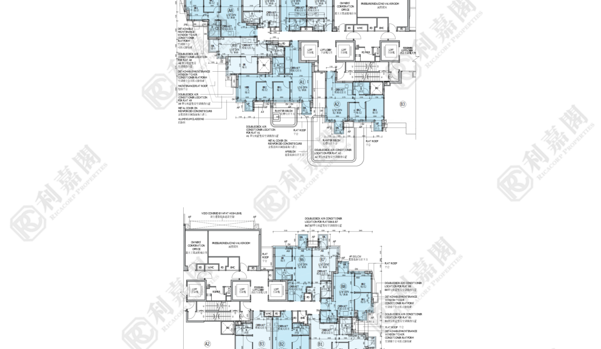 79726_2000_Ricacorp.png