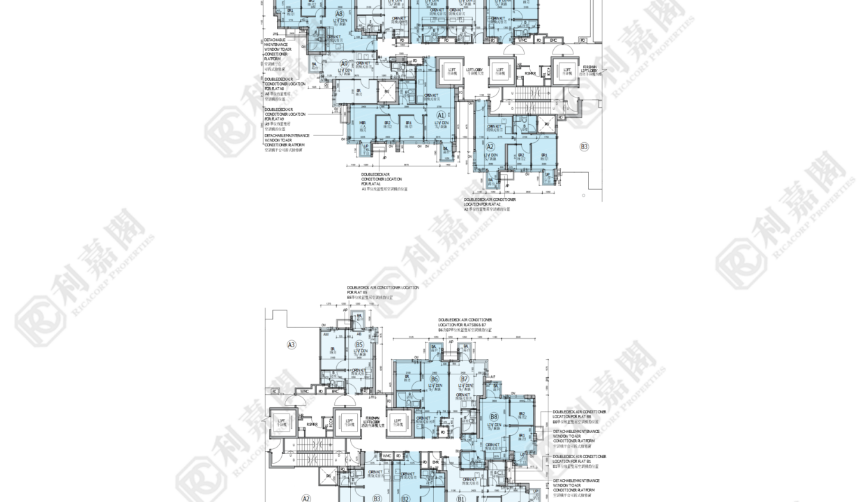 79732_2000_Ricacorp.png