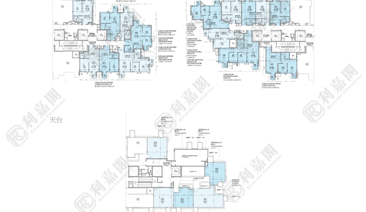 79734_2000_Ricacorp.png