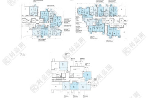 79734_2000_Ricacorp.png