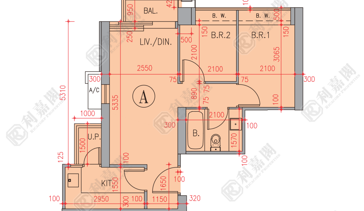 80684_2000_Ricacorp.png