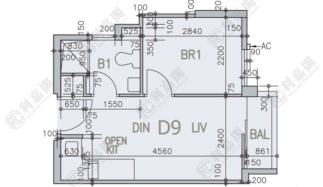 83055_2000_Ricacorp.png