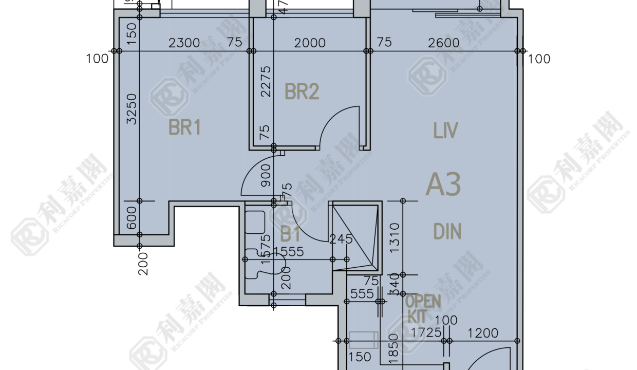 83060_2000_Ricacorp.png
