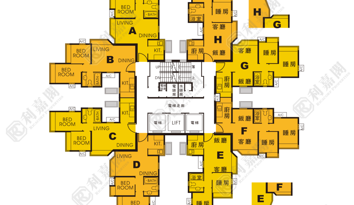 94547_2000_Ricacorp.png