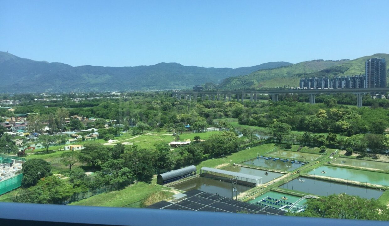 a9029ee9-875e-4cf1-a374-aa2e50762df4.jpeg