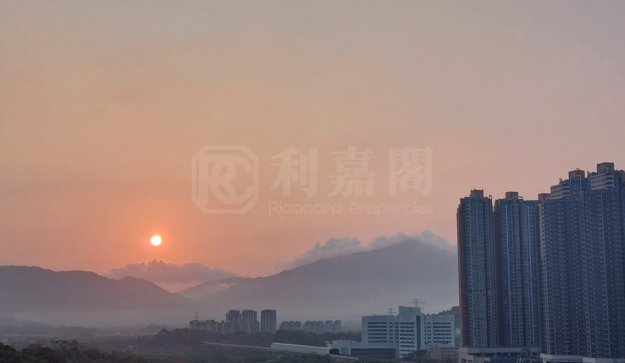 cf6368f7-3adb-4395-879e-d61655f9265c.jpeg