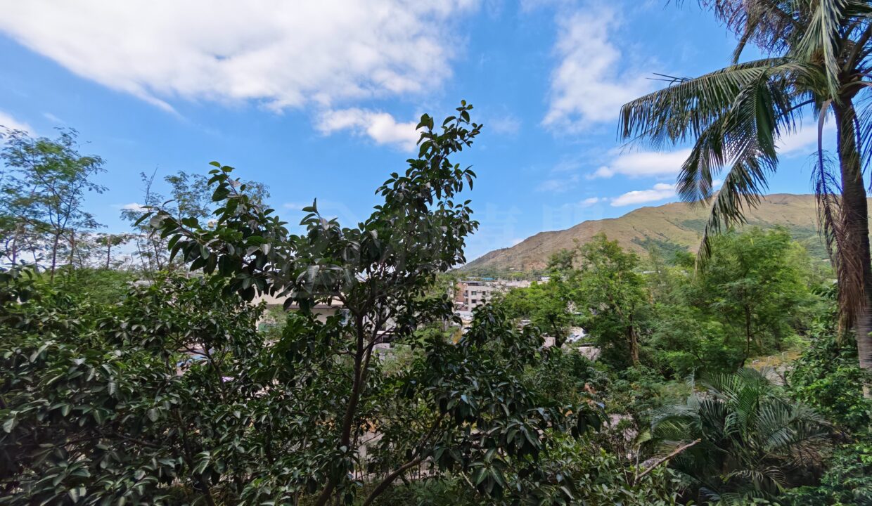 d75dbdcb-de3f-4ebc-a61c-acd3ad3be506-1.jpeg