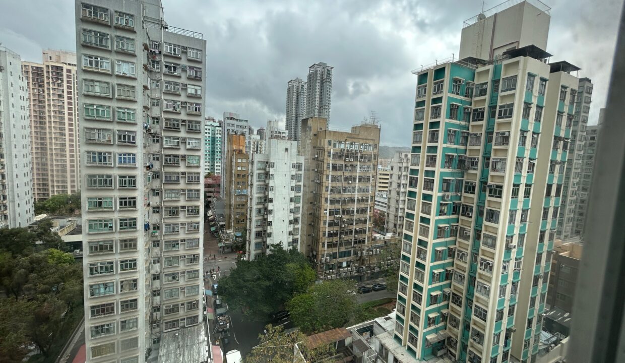 d7d407b3-8aff-4bb4-a8a0-2e37f87b79e3.jpeg