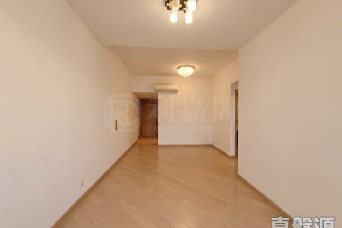 IMG_0230
