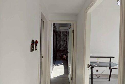 IMG_1341