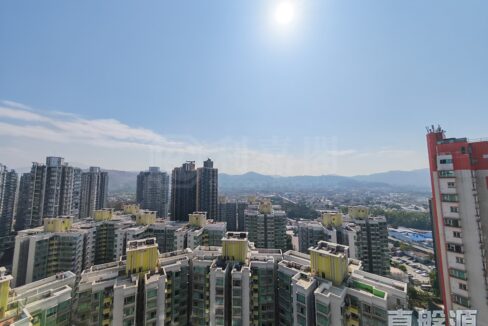 IMG_20260112_114451
