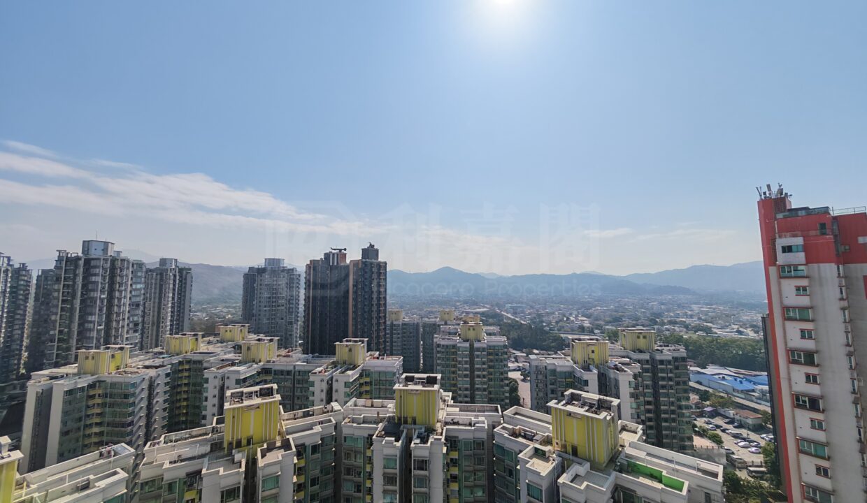 IMG_20260112_114451
