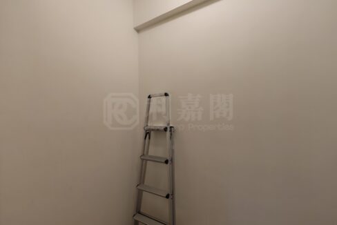 IMG_20260128_110522