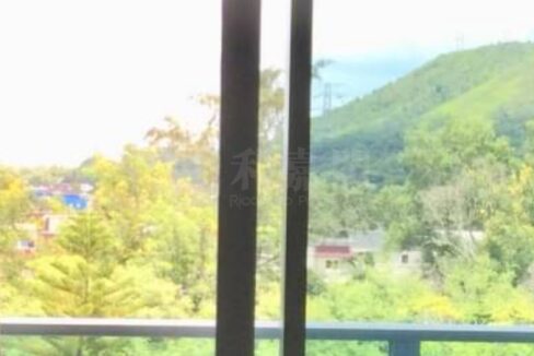 IMG_4042
