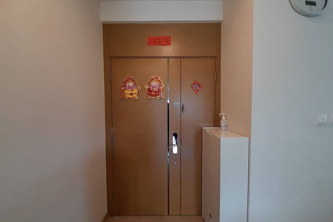 IMG_4517