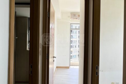 IMG_4731