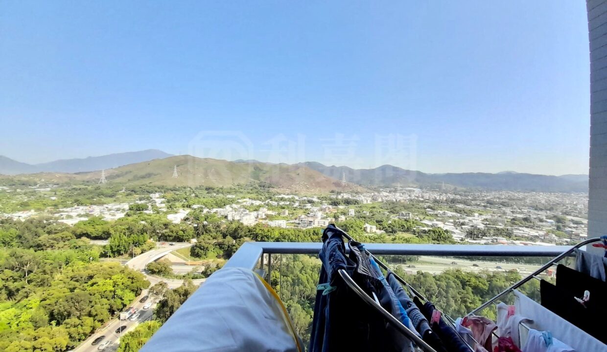 IMG_5529