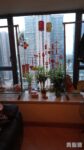 Yoho midtown M1中層 2房售$793萬 - 元朗屋網 28YuenLong.com
