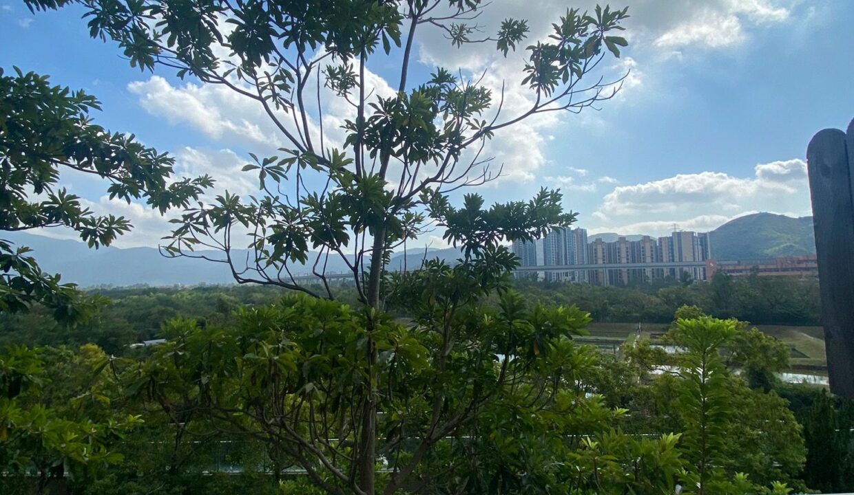 WhatsApp Image 2026-05-06 at 19.48.06 (2)