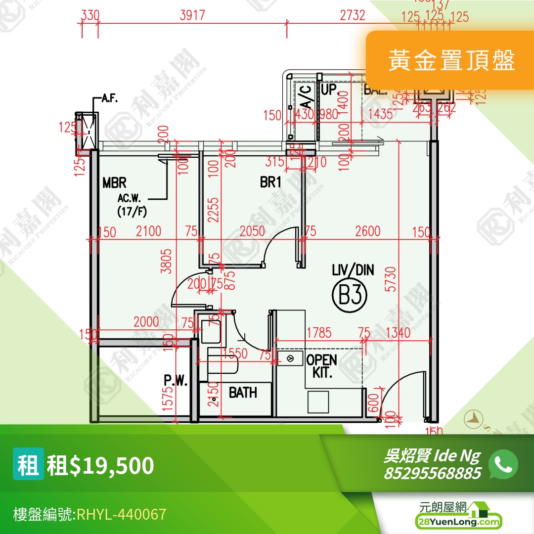 柏瓏 1B期 柏瓏 II 8座 - 元朗屋網 28YuenLong.com