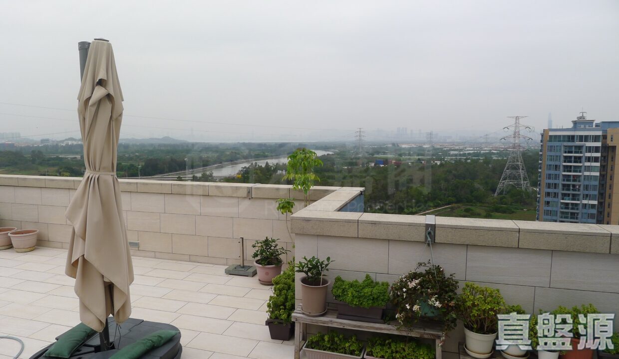 天台2 (1)